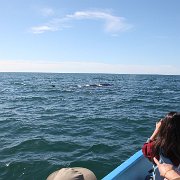 IMG 0001 2 (1)